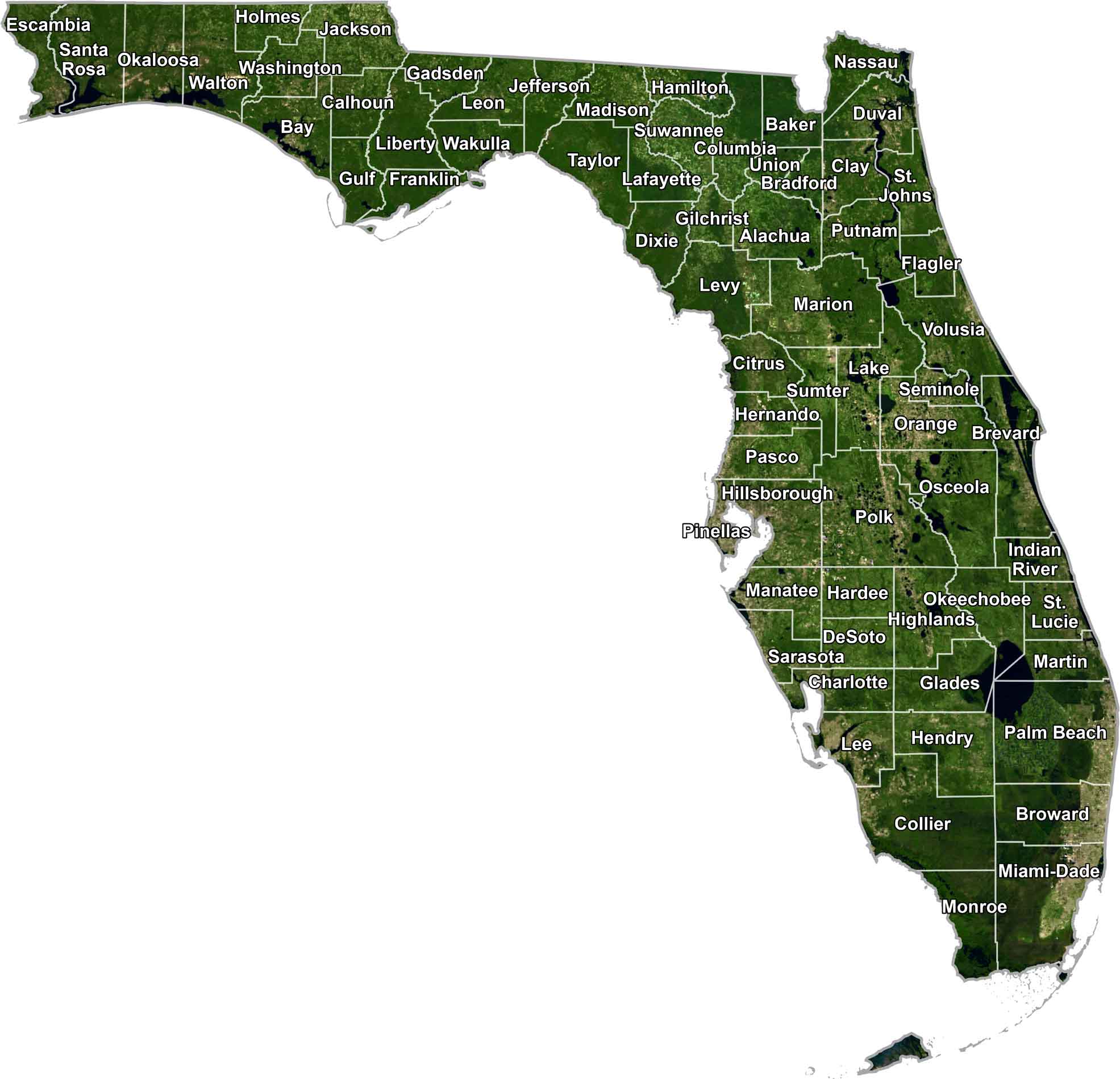 Florida Satellite County Map