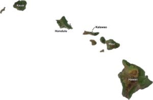 Hawaii Satellite County Map