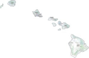 Hawaii Topographic County Map