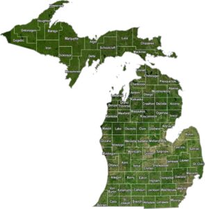 Michigan Satellite County Map