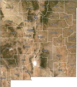 New Mexico Satellite County Map