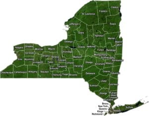 New York Satellite County Map