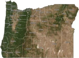 Oregon Satellite County Map