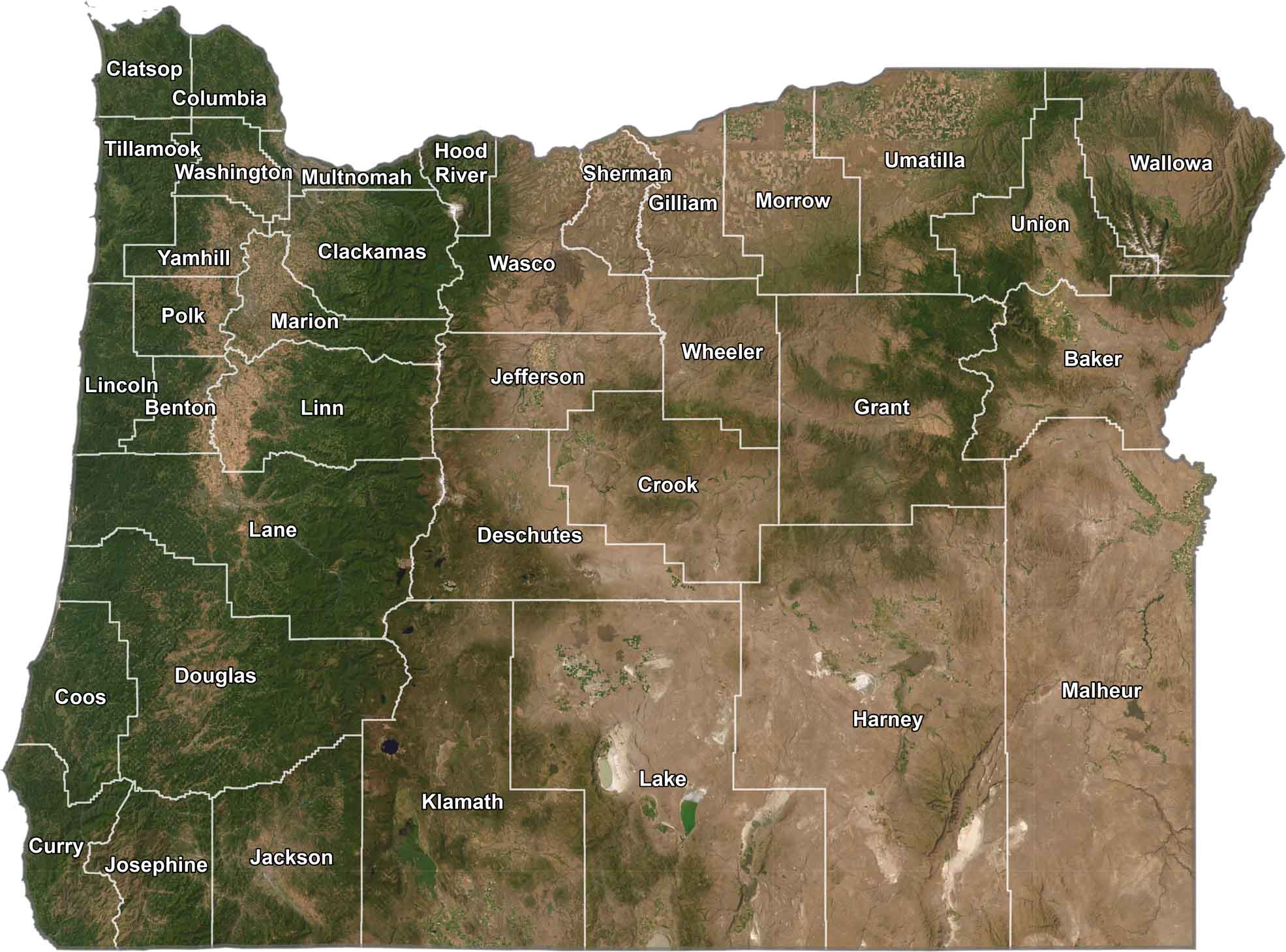 Oregon Satellite County Map