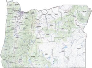 Oregon Topographic County Map