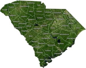 South Carolina Satellite County Map