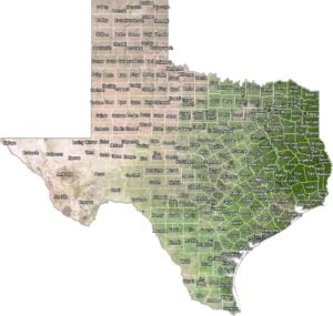Texas Satellite County Map